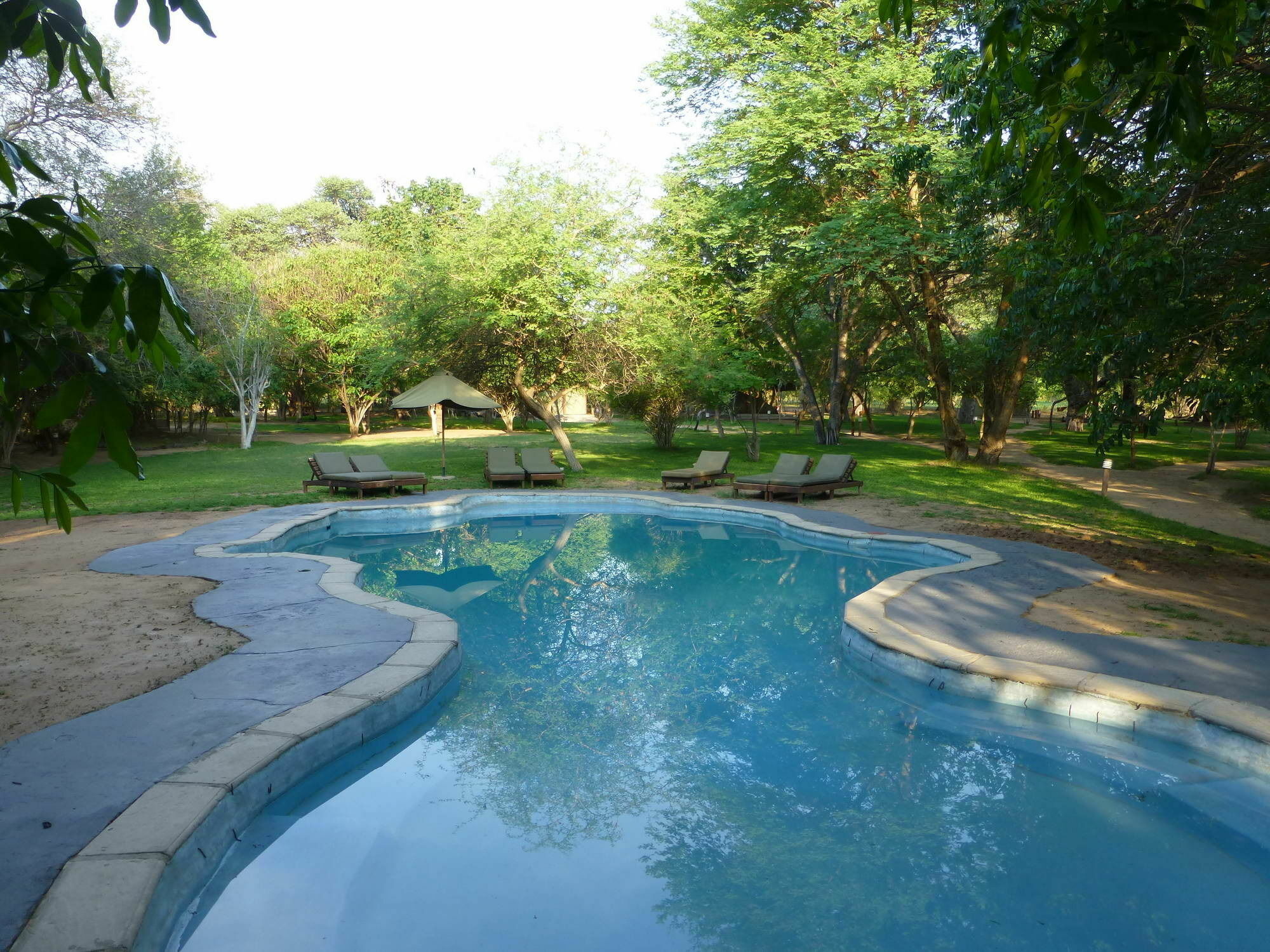 Elephant Valley Lodge Kasane Esterno foto